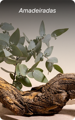 Amadeiradas